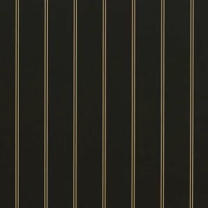 Cooper Black awning fabric swatch