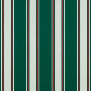 Forest Green Fancy awning fabric swatch