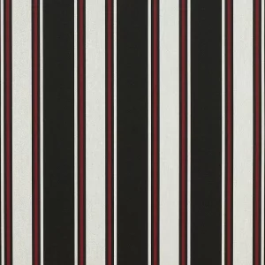 Hatteras Raven awning fabric swatch