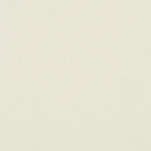 Oyster awning fabric swatch